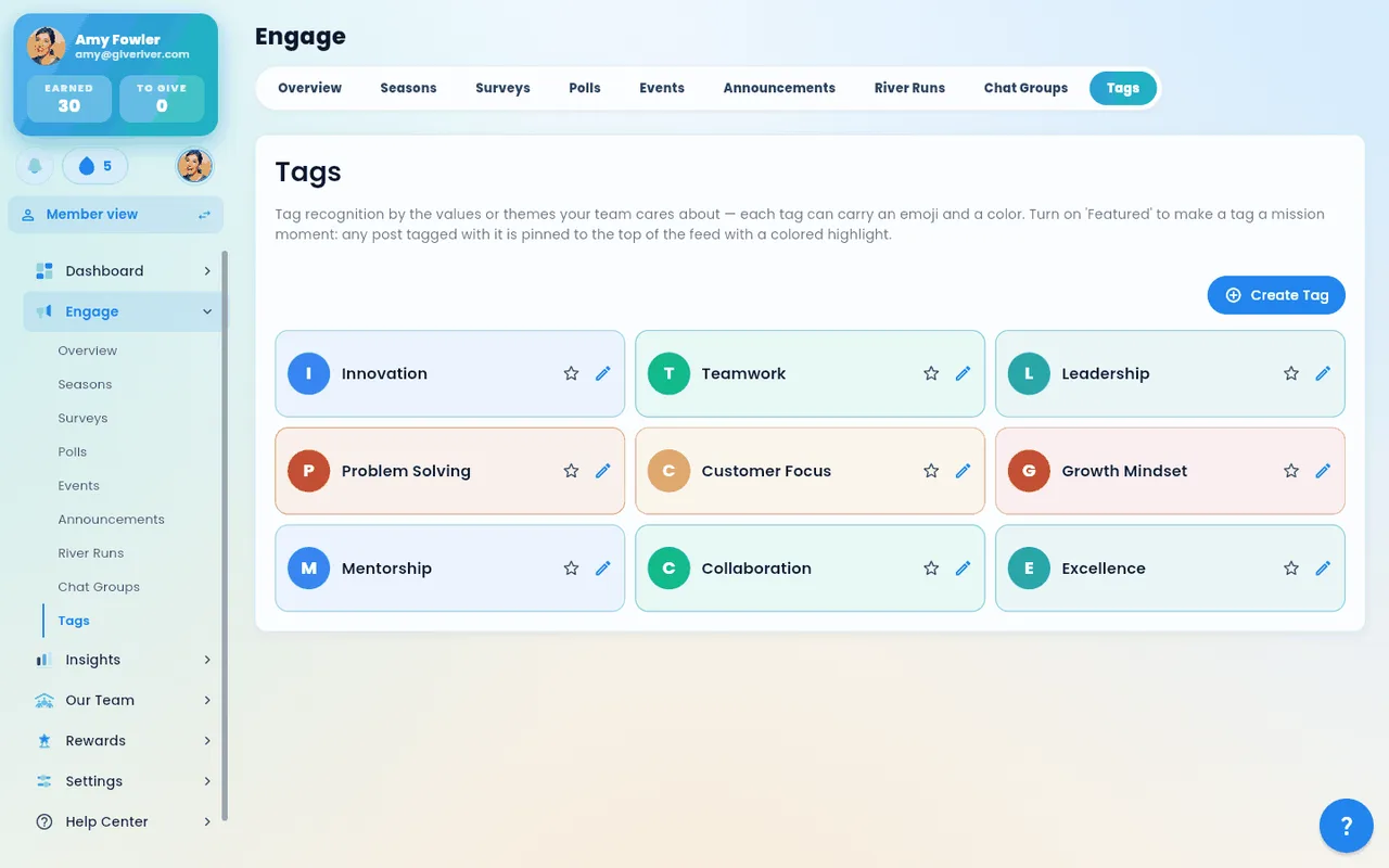 The admin Tags screen, where core values are created and managed.